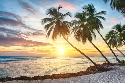 Hot sun and a cool breeze are always guaranteed in Barbados.