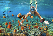 Top 10 Weather Facts – Majorca ☀️🏔🇪🇸 Diving at El Toro Beach, Majorca